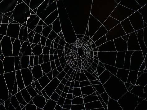A warning illustration about dark patterns in AI conversations